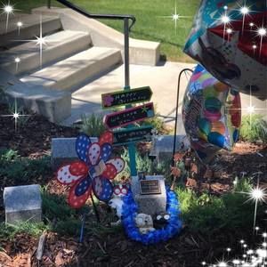 Meet your Posher, Shelley